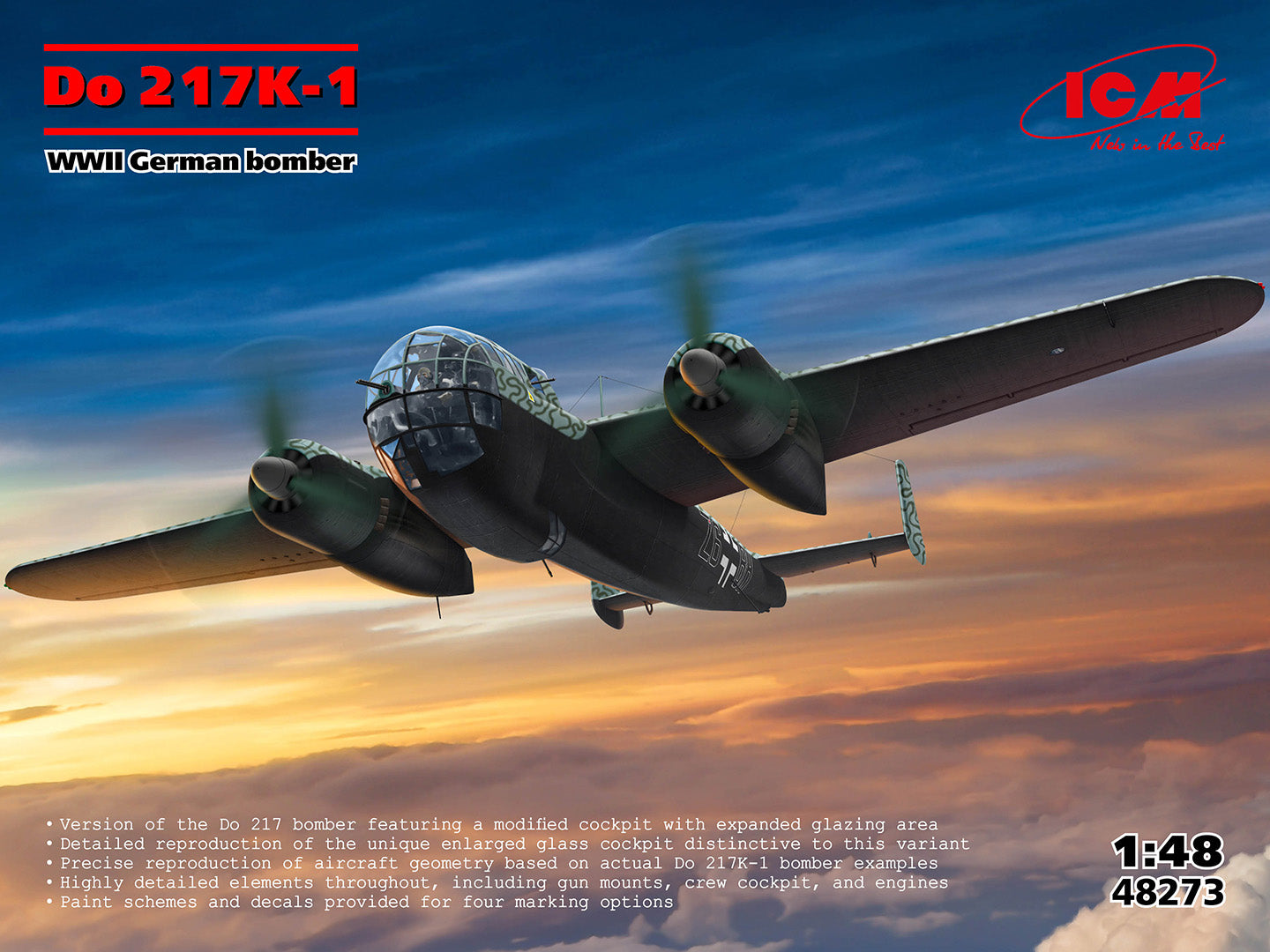 Do 217 K-1 WWII German Bomber