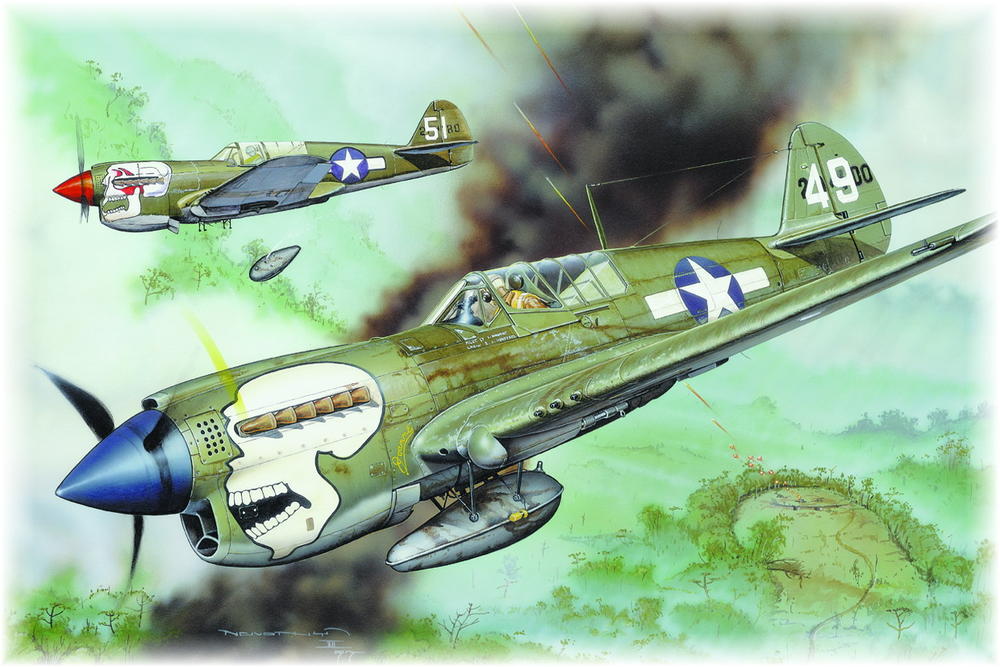 P-40N Warhawk - Profipack