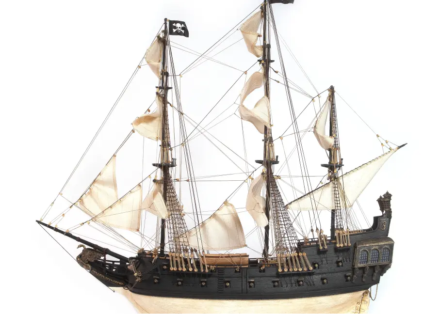 Cisne Negro (Black Swan)