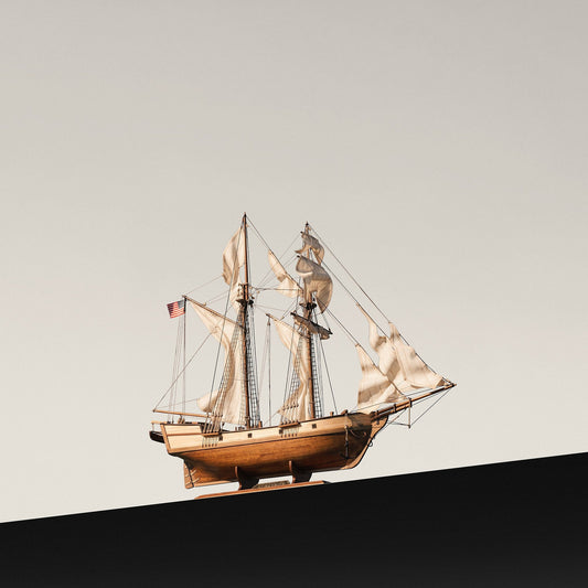 Albatros