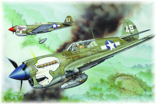 P-40N Warhawk - Profipack
