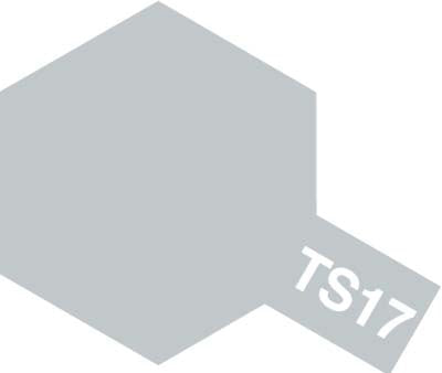 TS-17 Gloss Aluminium