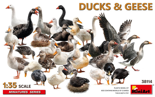 Ducks & Geese