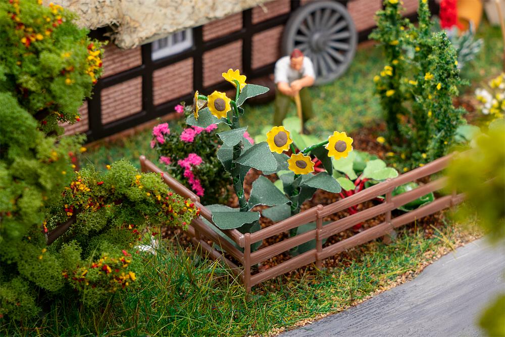 Flowers in Front Garden