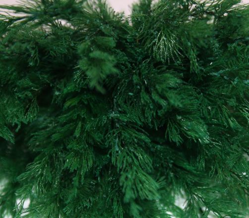 Fine Weeds